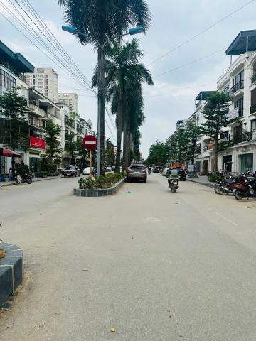 Bán Nhà riêng 95m2 có sẵn 95 m2 thổ cư giá 16.6 tỷ tại - Chọn - Xã Tân Lập Huyện Đan Phượng Hà Nội