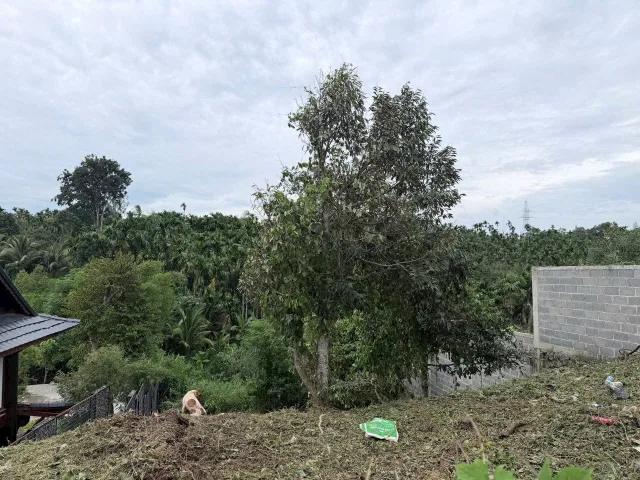 Bán Đất 232.3m2 có sẵn 60 m2 thổ cư giá 2.4 tỷ tại Xã Hòa Thắng Thành phố Buôn Ma Thuột Đắk Lắk