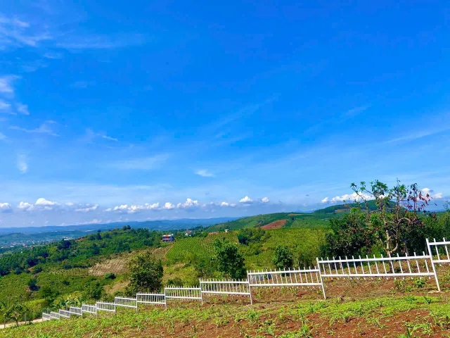 Bán Đất 286m2 có sẵn 100 m2 thổ cư giá 600 triệu tại - Chọn - Xã Nam Hà Huyện Lâm Hà Lâm Đồng