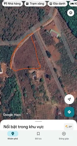Bán Đất 2647m2 giá 900 triệu tại - Chọn - Xã Đắk Sin Huyện Đắk R'Lấp Đắk Nông