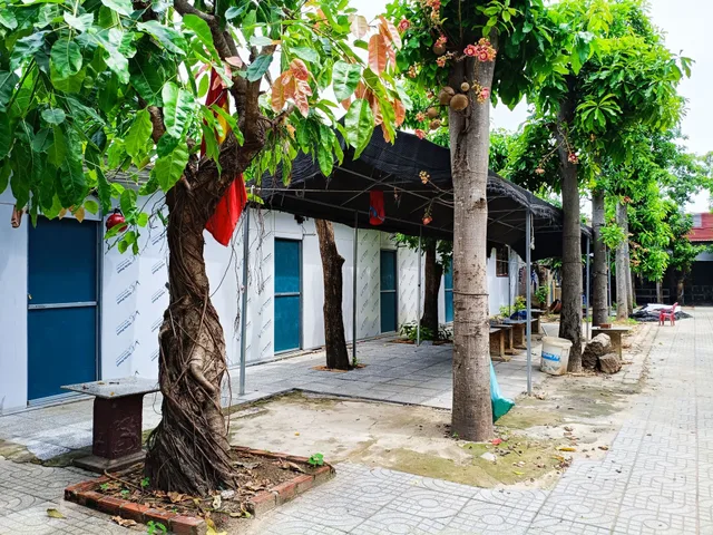 Cho thuê Căn hộ chung cư 30m2 giá 4.5 triệu tại - Chọn - Phường 12 Thành phố Vũng Tàu Bà Rịa - Vũng Tàu