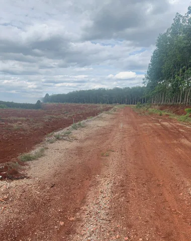 Bán Đất 1000m2 giá 349 triệu tại - Chọn - Xã Tân Hòa Huyện Đồng Phú Bình Phước
