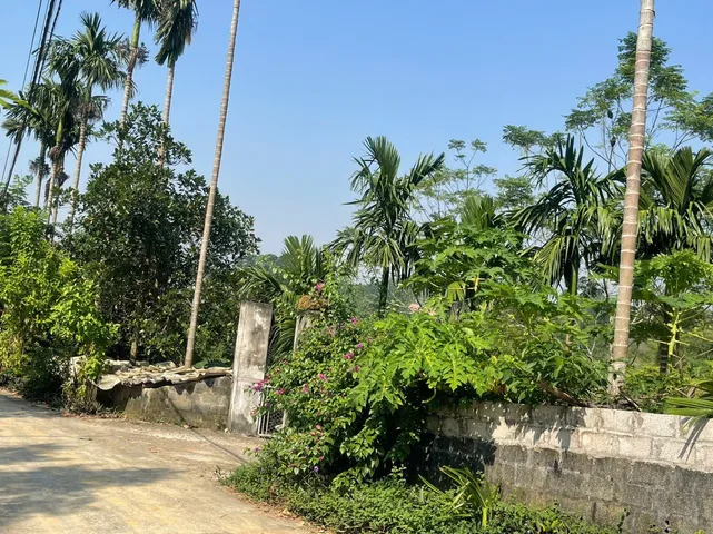 Chưa tới 2 tỷ sở hữu ngay lô góc, đất Ba Vì cách tỉnh lộ 86 chỉ vài trăm mét