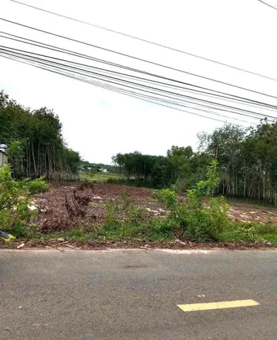 Bán Đất 438m2 có sẵn 100 m2 thổ cư giá 700 triệu tại Phường Chơn Thành Đồng Nai