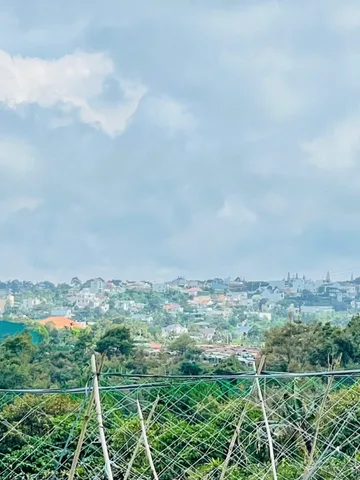Anh Chị Kinh Doanh Thua Lỗ Đành Bán 9000m2 có sẵn 100 m2 thổ cư Chỉ giá 402 triệu