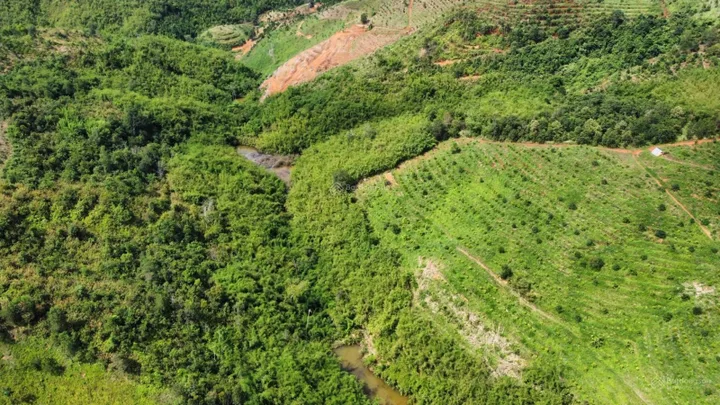 Bán 1,6ha Đất trồng CLN đường ô tô, Phường Bắc Gia Nghĩa, tỉnh Lâm Đồng mới, giá 25 tỷ, SHR