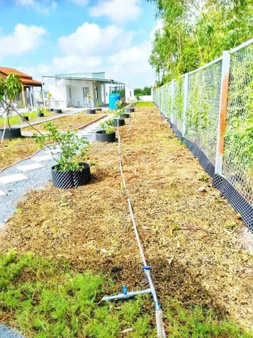 Bán nhà vườn xinh lung linh xã Tân Thành, Thủ Thừa dt 1000m2 , 2pn, 1wc giá 1,399 tỷ