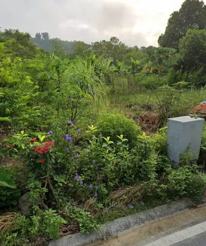 🏡 ĐẤT ĐÔ THỊ CAM ĐƯỜNG – MẶT TIỀN RỘNG, SỔ HỒNG SẴN, GIÁ HẤP DẪN