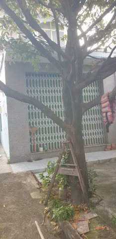 Bán Nhà riêng 154m2 có sẵn 154 m2 thổ cư giá 9 tỷ tại Đường Phước Long Phường Phước Long Thành phố Nha Trang Khánh Hòa