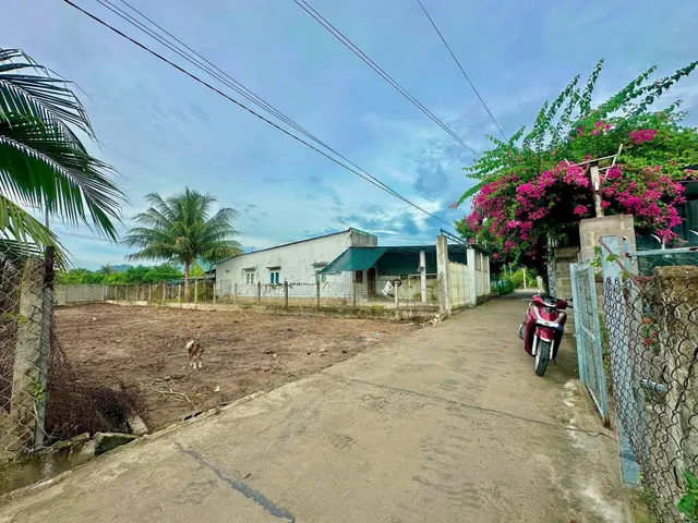Bán Đất 286m2 có sẵn 100 m2 thổ cư giá 2.2 tỷ tại - Chọn - Xã Cam Thành Nam Thành phố Cam Ranh Khánh Hòa