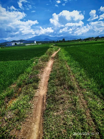 0938113403 Bán Đất 569.6m2 giá 600 triệu tại Xã Ninh Thọ Thị xã Ninh Hòa Khánh Hòa Z675