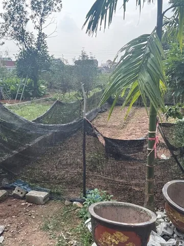 Bán Đất 107m2 có sẵn 107 m2 thổ cư giá 3.65 tỷ tại - Chọn - Xã Liên Nghĩa Huyện Văn Giang Hưng Yên