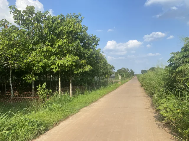 Bán Đất 5900m2 giá 4 tỷ tại Xã Xuân Trường Huyện Xuân Lộc Đồng Nai -02
