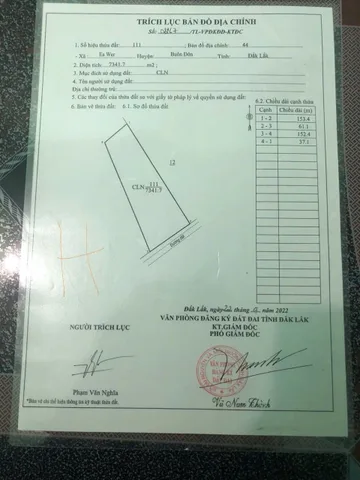 💥 CHÍNH CHỦ BÁN 4,5 HÉC-TA SẦU RIÊNG – SAU CÂY XĂNG KIỀU CHÍN – GIÁ CHỈ 179 TRIỆU/SÀO 💥
