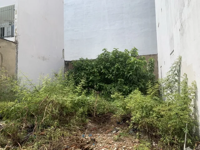 [L2365] ĐẤT GÒ VẤP SÁT VINCOM - GIÁ ĐẦU TƯ! 🔥