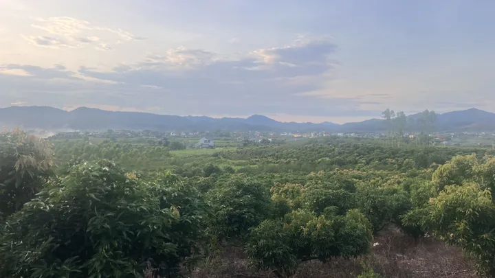 Bán Đất 24516m2 giá 3 tỷ tại - Chọn - - Chọn - Xã Kiên Lao Bắc Ninh