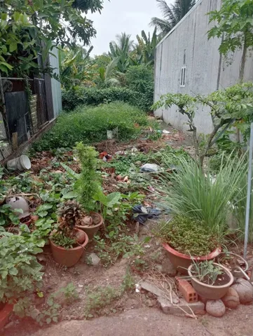 Đất đẹp P. TDM , TP HCM ( p. phú thọ cũ )
  Hẽm 1183 nhánh Lê Hồng Phong, gần nhà thờ, trường học , chợ Phú Văn .