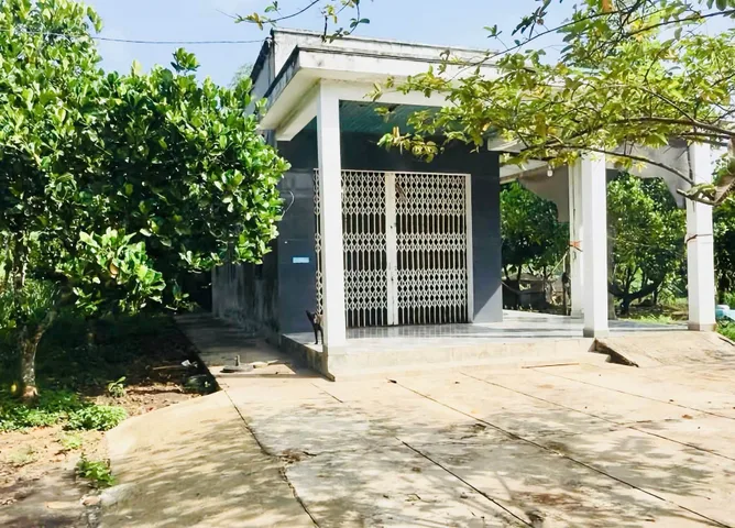 Bán Nhà riêng 3133m2 có sẵn 31 m2 thổ cư giá 6 tỷ tại Đường Cây Gõ Xã An Phú Huyện Củ Chi TP. Hồ Chí Minh