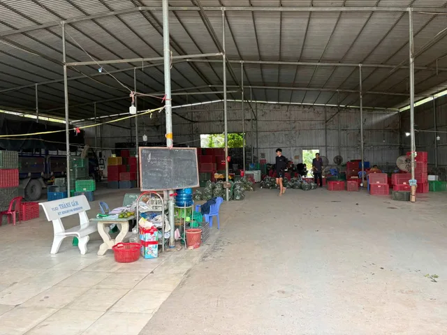 Cho thuê Kho, nhà xưởng 2250m2 giá 20 triệu tại - Chọn - Xã Tân Ngãi Thành phố Vĩnh Long Vĩnh Long