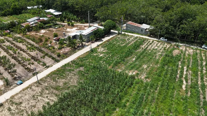 Bán Đất 370m2 có sẵn 100 m2 thổ cư giá 790 triệu tại Xã Minh Tân Huyện Dầu Tiếng Bình Dương