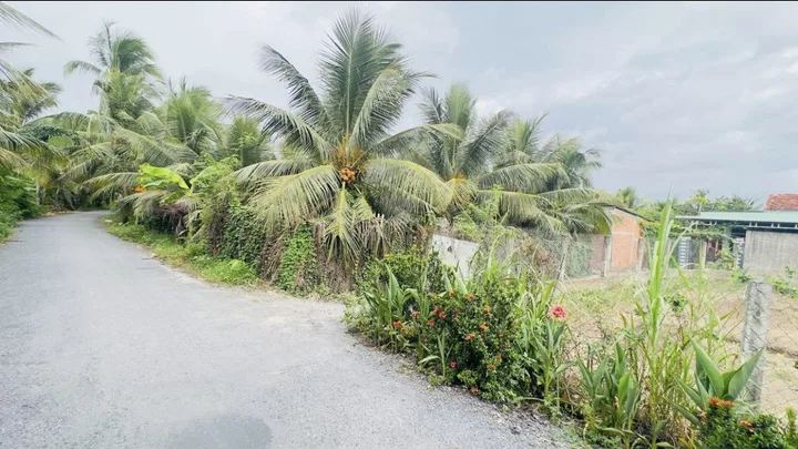 Bán đất thổ cư mặt tiền đường nhựa Đặng Văn Tân, Thạnh Lợi, Xã Long Bình Điền Huyện Chợ Gạo Tiền Giang