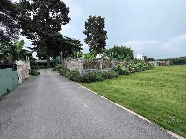 💥NGỘP NGÂN HÀNG CHỦ CẦN BÁN GẤP LÔ ĐẤT 163M2 CHỖ NGÃ TƯ TÂN TRIỀU