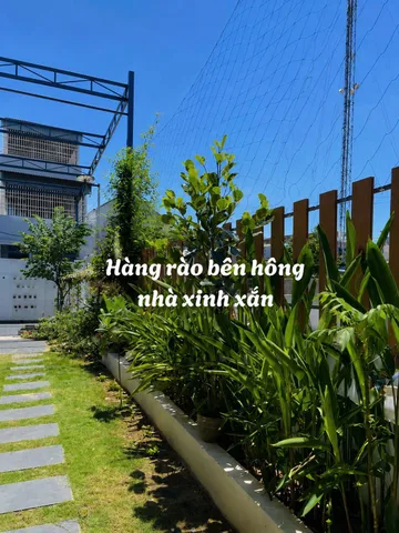 Bán Nhà riêng 150m2 có sẵn 150 m2 thổ cư giá 1.95 tỷ tại Đường Huỳnh Văn Nghệ Phường Bửu Long Thành phố Biên Hòa Đồng Nai