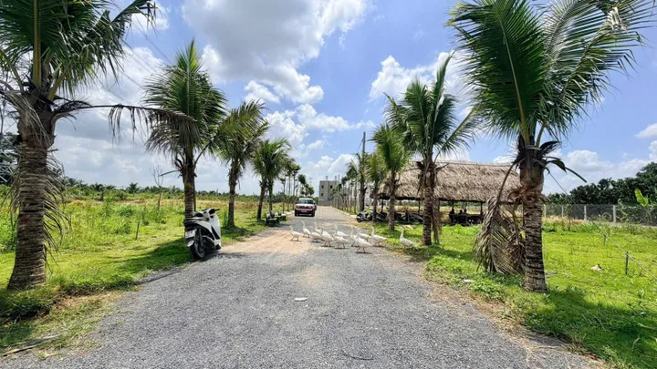 30 lô đất nền ven sông ngay cầu Tân Triều chỉ 1,290 tỷ/nền diện tích 80 - 160m2. có lô Góc 2 mặt tiền💥