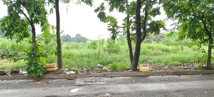 Bán Đất 533m2 có sẵn 438 m2 thổ cư giá 10.6 tỷ tại Xã Xuân Thới Thượng Huyện Hóc Môn TP. Hồ Chí Minh