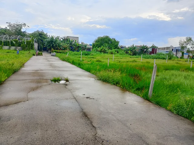 🔥 Đất 5×20m – 85m² thổ cư – Trung Đông 12, Thới Tam Thôn, Hóc Môn – Sổ riêng – Giá tốt