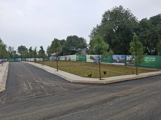 Bán Đất 90m2 thổ cư giá 600 triệu tại Đường Quốc Lộ 21B Thị trấn Ba Hàng Đồi Huyện Lạc Thủy Hòa Bình
