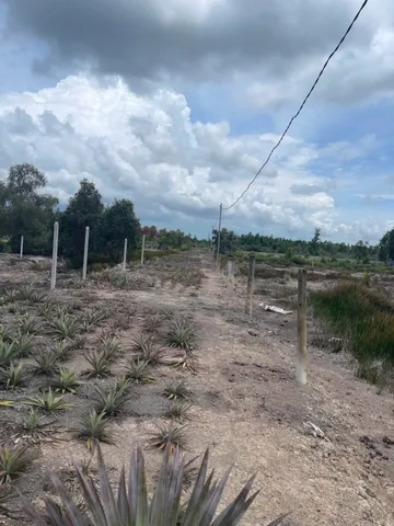 Bán Đất 1000m2 có sẵn 1000 m2 thổ cư giá 1 tỷ tại Đường Liên Ấp 3, 4 Xã Vĩnh Lộc A Huyện Bình Chánh TP. Hồ Chí Minh