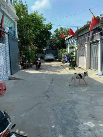 Bán Đất 99.5m2 có sẵn 99.5 m2 thổ cư giá 3.15 tỷ tại - Chọn - Phường 12 Thành phố Vũng Tàu Bà Rịa - Vũng Tàu