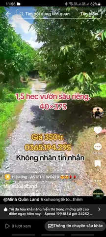 Vườn sầu riêng Long Hà Phú Riềng.