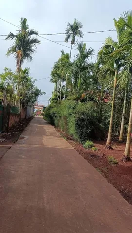 Bán Đất 495.8m2 có sẵn 495.8 m2 thổ cư giá 1.95 tỷ tại Xã Phú Xuân Huyện Krông Năng Đắk Lắk
