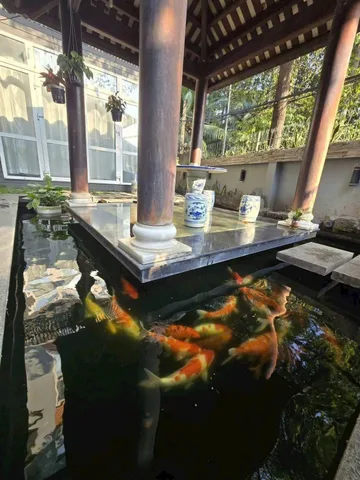 Bán Nhà Hẻm 122/25 Phổ Quang, P9, Phú Nhuận