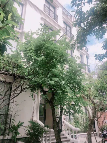 Bán Nhà Hẻm 236/43/19-19A Điện Biên Phủ, P17, Bình Thạnh