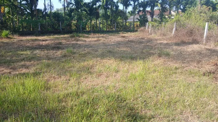 Bán Đất 197m2 có sẵn 100 m2 thổ cư giá 270 triệu tại - Chọn - - Chọn - Xã Lân Phong Quảng Ngãi