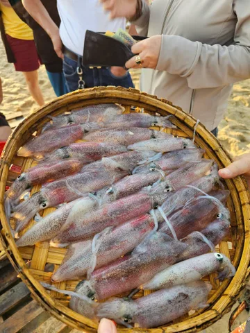 Đất gần bãi biển Bình Minh – Nam Hội An | 3.3 tỷ (GIÁ TỐT ĐỂ ĐẦU TƯ)