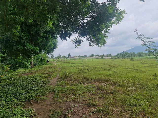 Bán 3.400m² đất view suối, cách nút giao cao tốc Xuân Lộc chỉ 1km – Giá 2,2 tỷ / 32