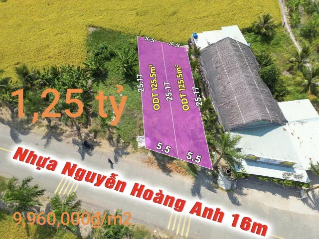 Bán Đất 125.5m2 có sẵn 125.5 m2 thổ cư giá 1.25 tỷ tại Thị trấn Tân Trụ Huyện Tân Trụ Long An