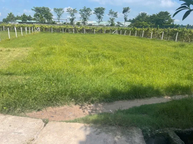 Bán Đất 655m2 có sẵn 35 m2 thổ cư giá 1.32 tỷ tại - Chọn - Xã Thái Mỹ Huyện Củ Chi TP. Hồ Chí Minh