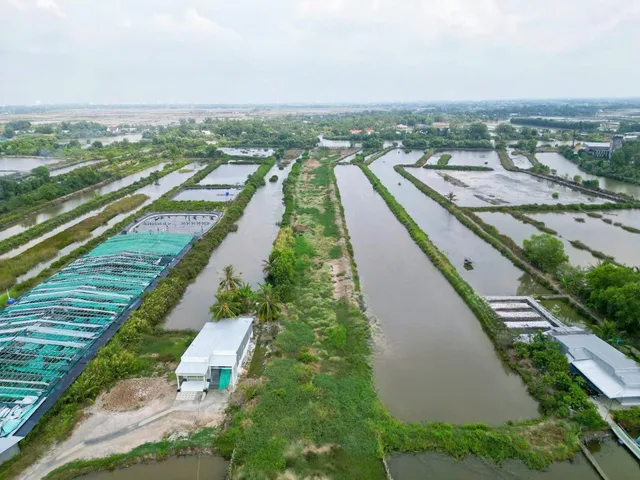 Bán Đất 10.319m2 giá 4.2 tỷ - 2 mặt tiền đường + sông phù hợp kho bãi tại xã Khánh Bình - Cà Mau
