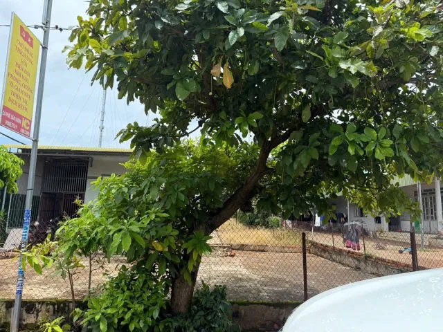 Bán Đất 540m2 có sẵn 200 m2 thổ cư giá 3.5 tỷ tại Thị trấn Quảng Phú Huyện Cư M'gar Đắk Lắk