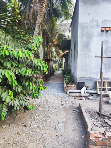 Bán Đất 307m2 có sẵn 307 m2 thổ cư giá 2.5 tỷ tại - Chọn - Xã Lê Minh Xuân Huyện Bình Chánh TP. Hồ Chí MinhCẦN BÁN 307M2 ĐẤT THỔ CƯ HẺM XE HƠI KHI CẢI TẠO LẠI