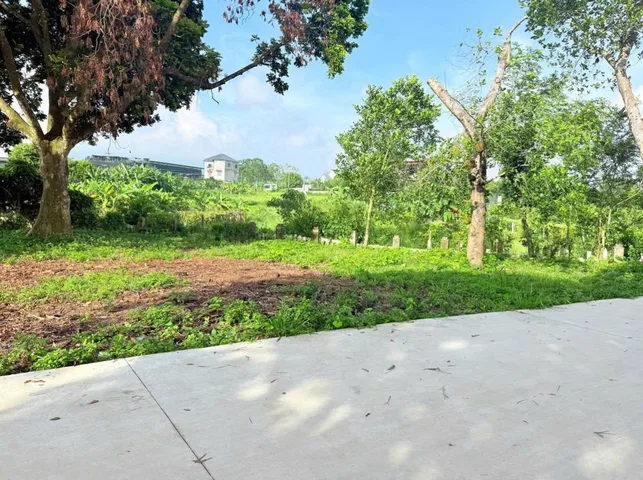 Bán cắt lỗ diện tích 502m2/100m2 ONT tại khu nghỉ dưỡng OASIS Nhuận Trạch, Lương Sơn. Giá 3.3 tỷ
