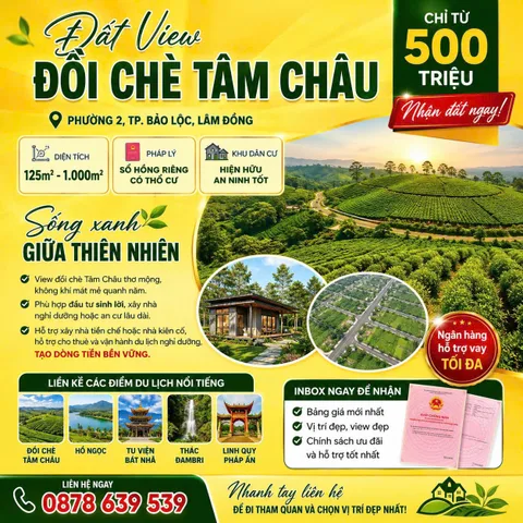 🌿 ĐẤT VIEW ĐỒI CHÈ TÂM CHÂU – CHỈ TỪ 500 TRIỆU NHẬN ĐẤT 🌿