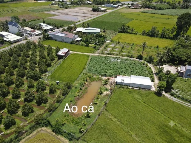 Bán nhanh lô Đất 1000m2 có sẵn 100 m2 thổ cư giá 850 triệu tại  Xã Bàu Bàng TP. Hồ Chí Minh