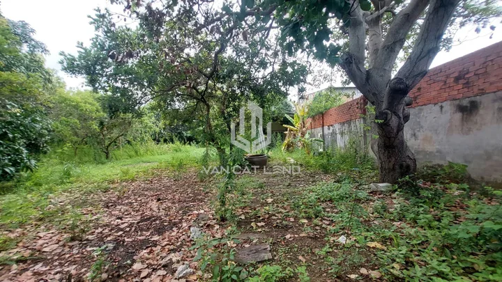 Cho thuê Mặt bằng kinh doanh 1380m2 giá 40 triệu tại - Chọn - Phường 11 Thành phố Vũng Tàu Bà Rịa - Vũng Tàu