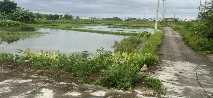 Siêu phẩm 2500m đất 03 giá rẻ như cho ngay lâm động , thuỷ nguyên , hải phòng .